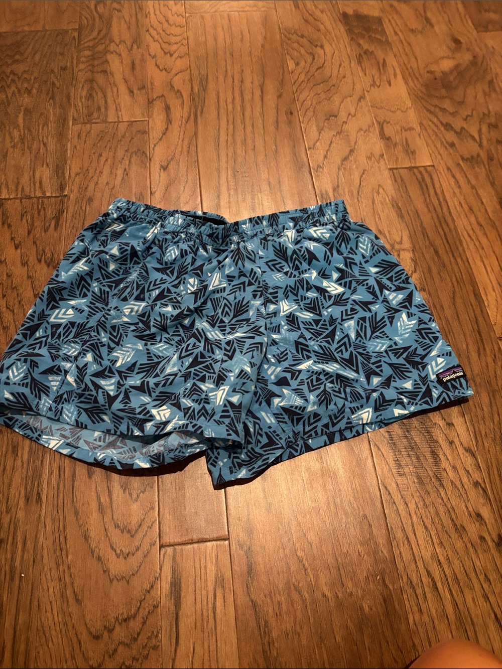 Patagonia Shorts